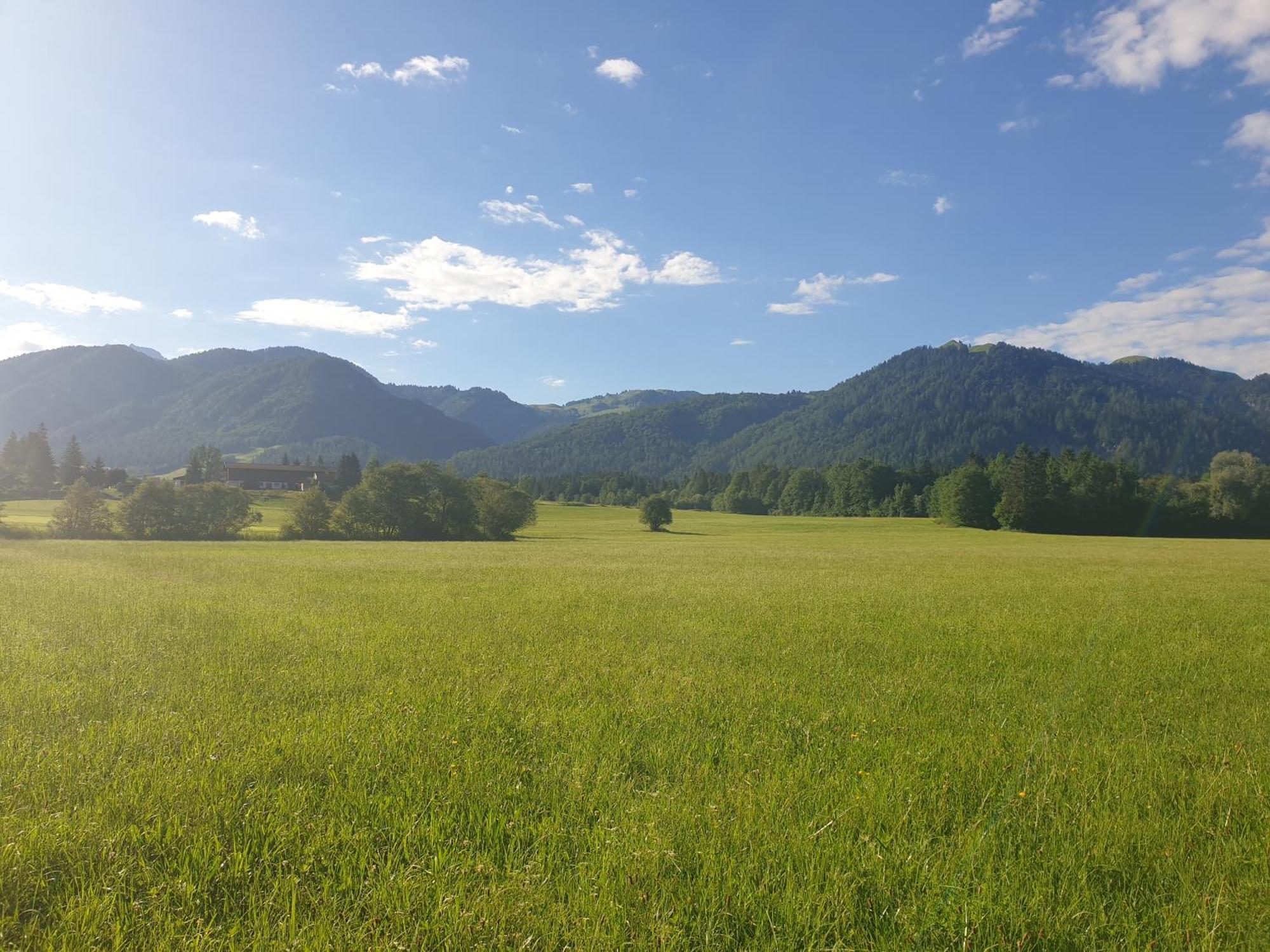 Appartementhaus Hüttenberger Erpfendorf Exterior foto
